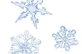 Les plus beaux flocons tombent du ciel par temps calme et froid. / © Dessins Rose Gigon ( Météorisk/Le vent des cimes)