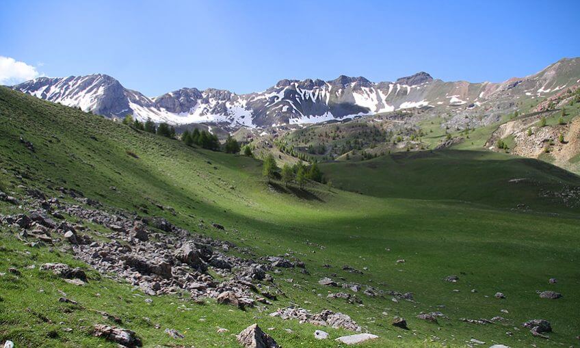 La fondation Jean-Marc Landry pour la cohabitation loup-pastoralismeHautes Alpes loup
