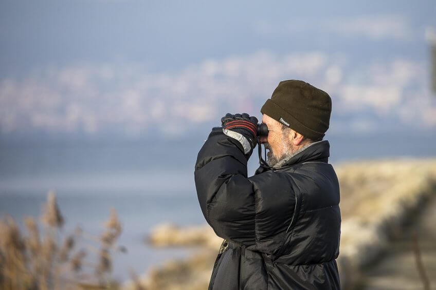 © Alessandro Staehli recensement-oiseaux-eau-4