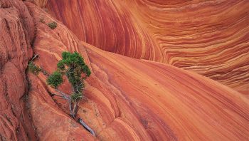 Roches en mille-feuilles
