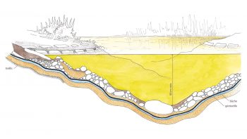 Schéma en coupe d'un étang artificiel Schéma en coupe d'un étang artificiel