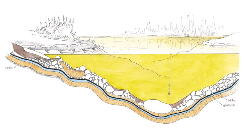 Schéma en coupe d'un étang artificiel mare dessin