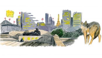 Un loup face à un clochard dans Paris. Un loup face à un clochard dans Paris.