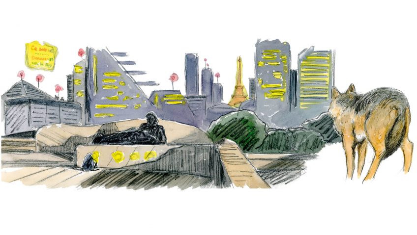 Quand un loup débarque en pleine ville de Paris - La Salamandre dessin Tsunehiko Kuwabara loup Paris