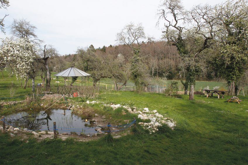 Un jardin au printemps Un jardin au printemps