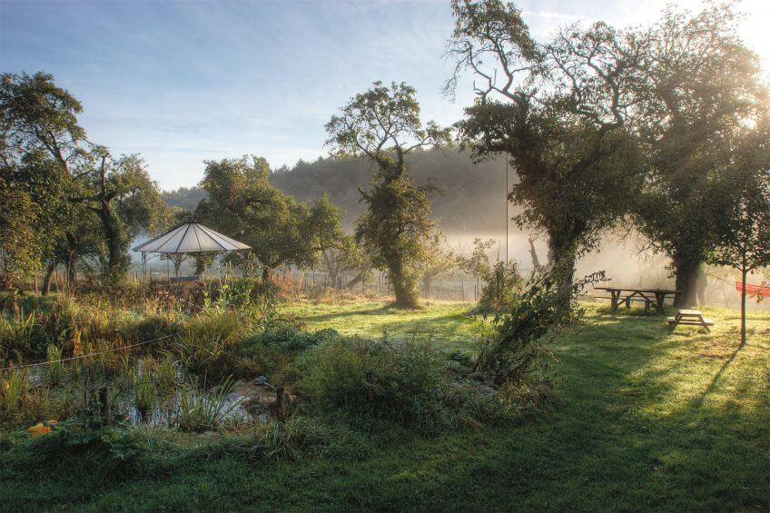 Un jardin en automne