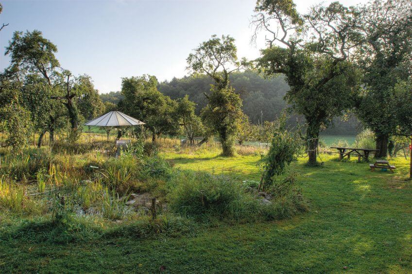Un jardin en été Un jardin en été