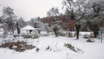Un jardin en hiver Un jardin en hiver