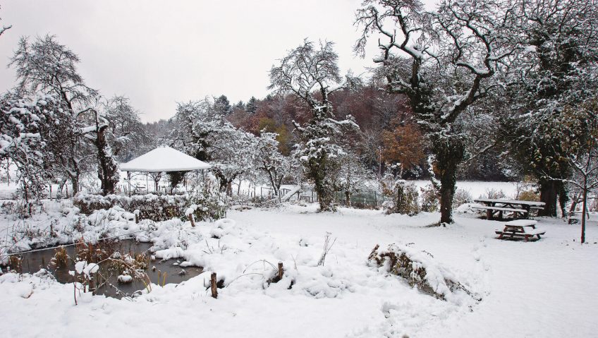 Un jardin en hiver neige