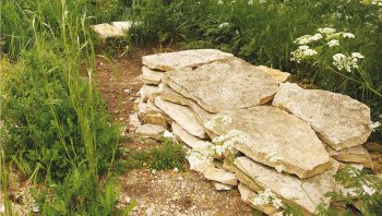 Un mur en pierres sèches procure un mélange d'ombre, d'humidité et de chaleur aux animaux du jardin. 