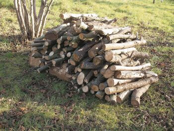 Un tas de branches intéressera hérissons, troglodytes, hermines et bien d'autres encore. tas de branches