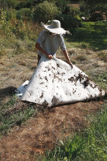 Un vieux bout de moquette permet de désherber une parcelle sans trop d’efforts. Otez-le quelques jours avant d’ensemencer la surface. fleur sauvage jardin moquette désherbage chapeau