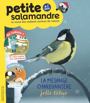 Couverture de La Petite Salamandre n°9