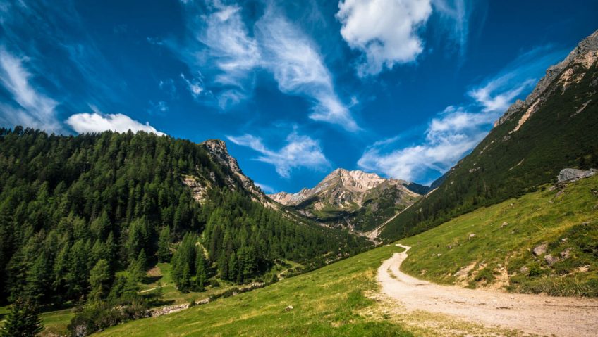 chemin montagne ciel nuage forêt