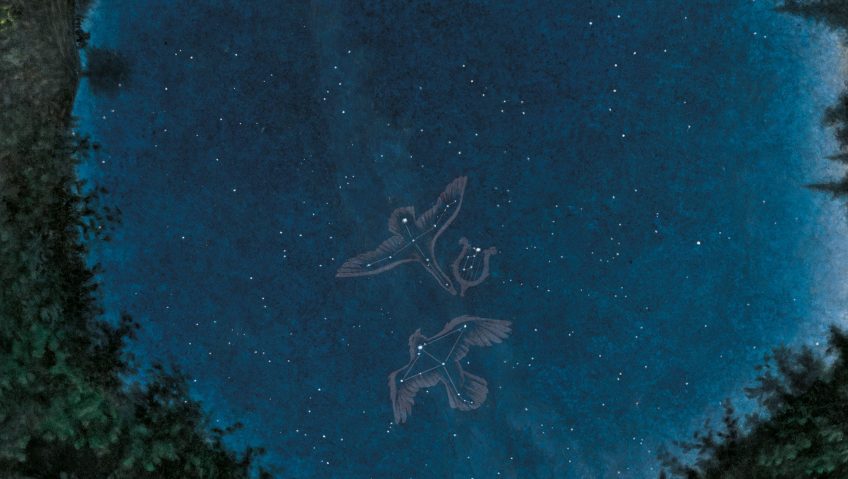 dessin nuit Deneb Cygne Altaïr Aigle Véga la Lyre étoiles