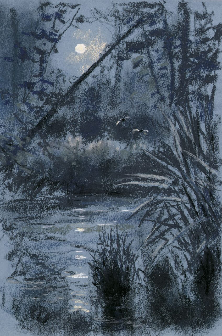 La lune brille au dessus de l'étang. dessin nuit lac lune