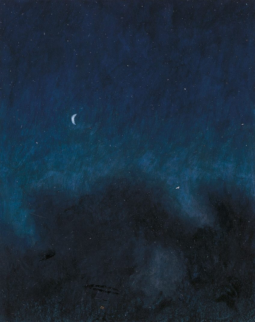 L'étoile du berger L'étoile du berger dessin nuit