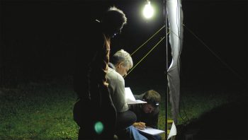 Un drap blanc sur une armature métallique et une source lumineuse, voilà de observer les papillons. 