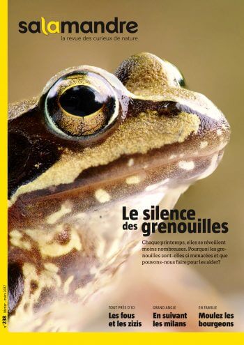Couverture de La Salamandre n°238