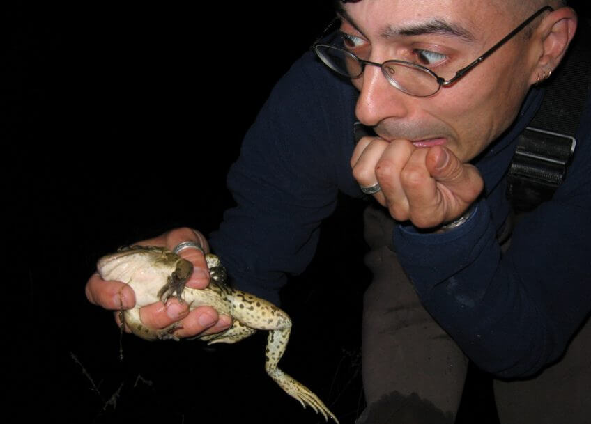 Le point sur le déclin des amphibiens avec Jean-Pierre Vacher - La Salamandre
