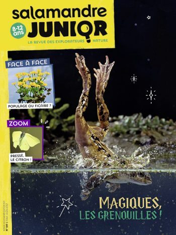 Couverture de La Salamandre Junior n°110
