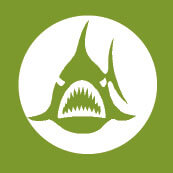 Les causes du déclin des amphibiens - La Salamandre menace amphibien icone empoissonnement