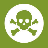 Les causes du déclin des amphibiens - La Salamandre menace amphibien icone toxicités multiples