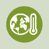 Les causes du déclin des amphibiens - La Salamandre menace amphibien icone dérèglement climatique