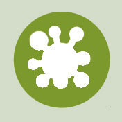 Les causes du déclin des amphibiens - La Salamandre menace amphibien icone maladies émergentes