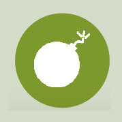 Les causes du déclin des amphibiens - La Salamandre menace amphibien icone brassage international