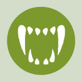 Les causes du déclin des amphibiens - La Salamandre concurrent prédateur invasif menace amphibien icone