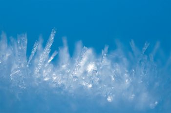 Au coeur de la saison froide / © Nathalie Houdin