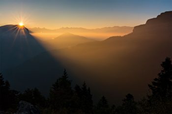 Au fond des bois se cache une mystérieuse maison gardée par deux chouettes hulottes.  / © Nathalie Houdin