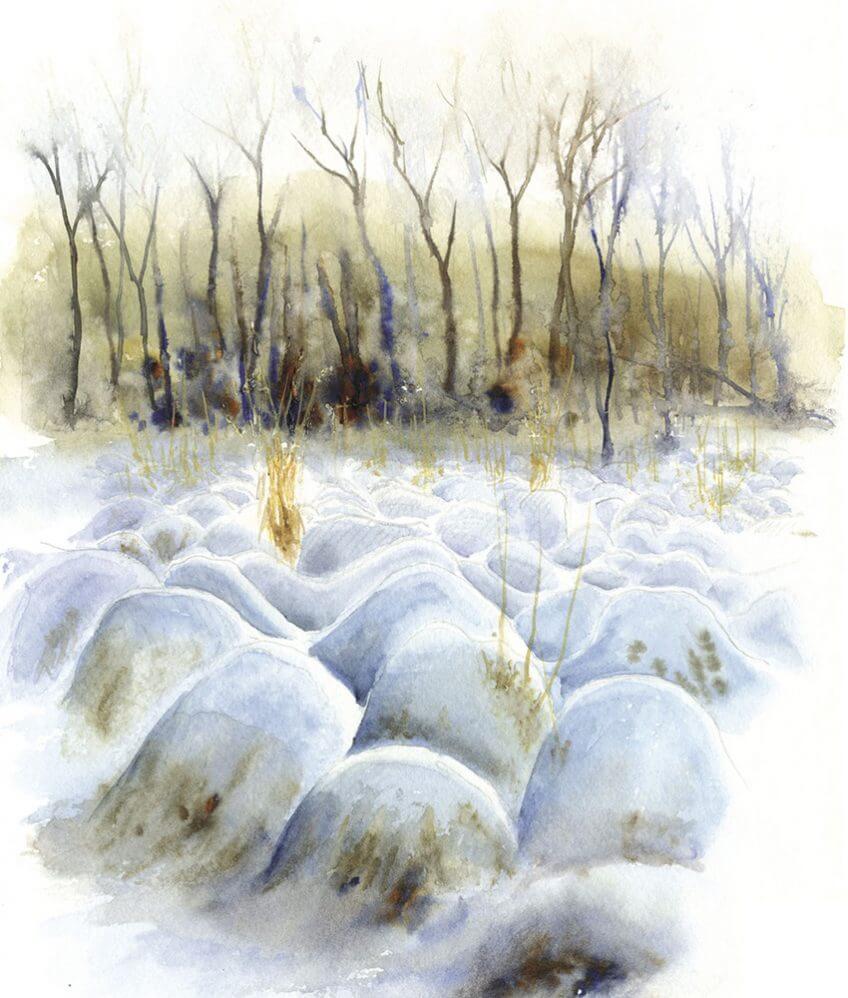 Les fagnes en Belgique par le peintre Yves Fagniart