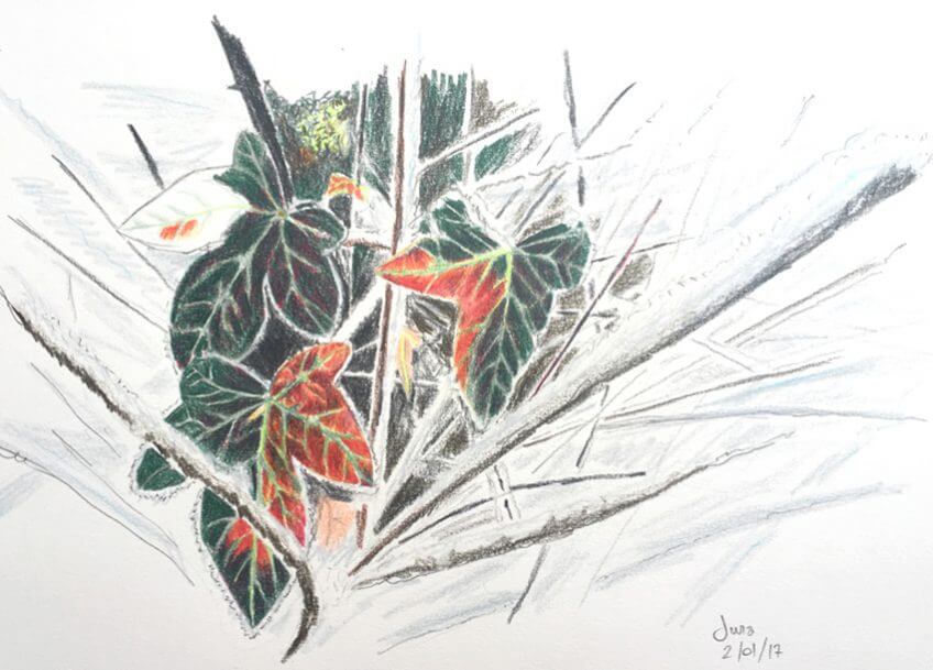 Le zèle du lierre Jean-Philippe Paul - La Salamandre