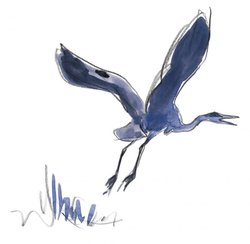 Héron cendré Leçon de style avec le héron dessin