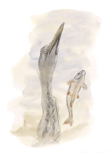 Héron cendré Leçon de style avec le héron dessin