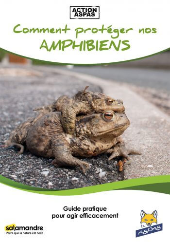 Ils se mouillent pour les grenouilles - La Salamandre Comment protéger nos amphibiens aspas livre