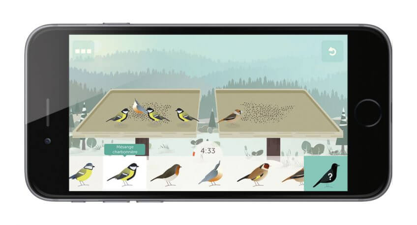 L'application BirdLab est un jeu collaboratif qui permet de faire avancer la science. Comment nourrir merles et mésanges ? - La Salamandre application BirdLab mangeoire oiseau