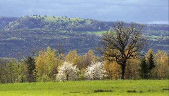 Le site Natura 2000, "Petite Montagne du Jura" s’étend sur 38'293 hectares. Le site Natura 2000, "Petite Montagne du Jura" s’étend sur 38'293 hectares.