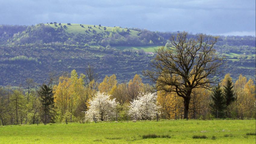 Natura 2000, le plus grand réseau de sites protégés est sauvé - La Salamandre site "Natura 2000" Petite Montagne du Jura campagne pré arbre
