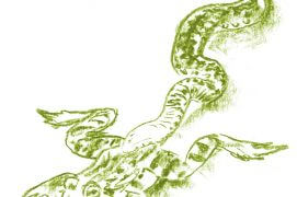 Manger ou être manger… / © Jean Chevallier