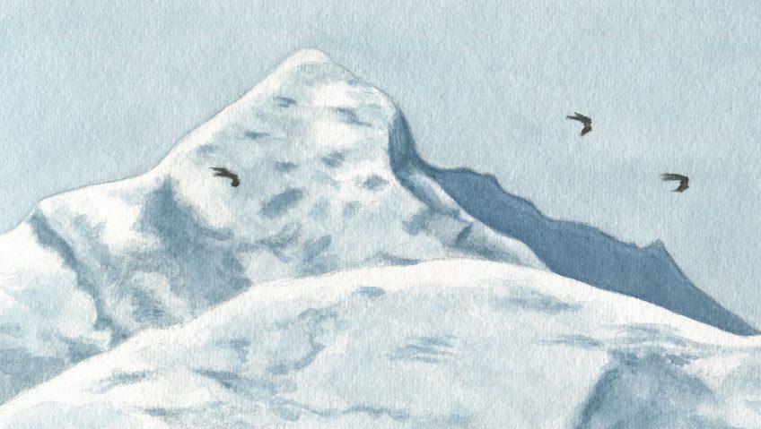 En suivant les milans noirs - La Salamandre dessin Milans noirs traversant les Alpes montagne neige vol