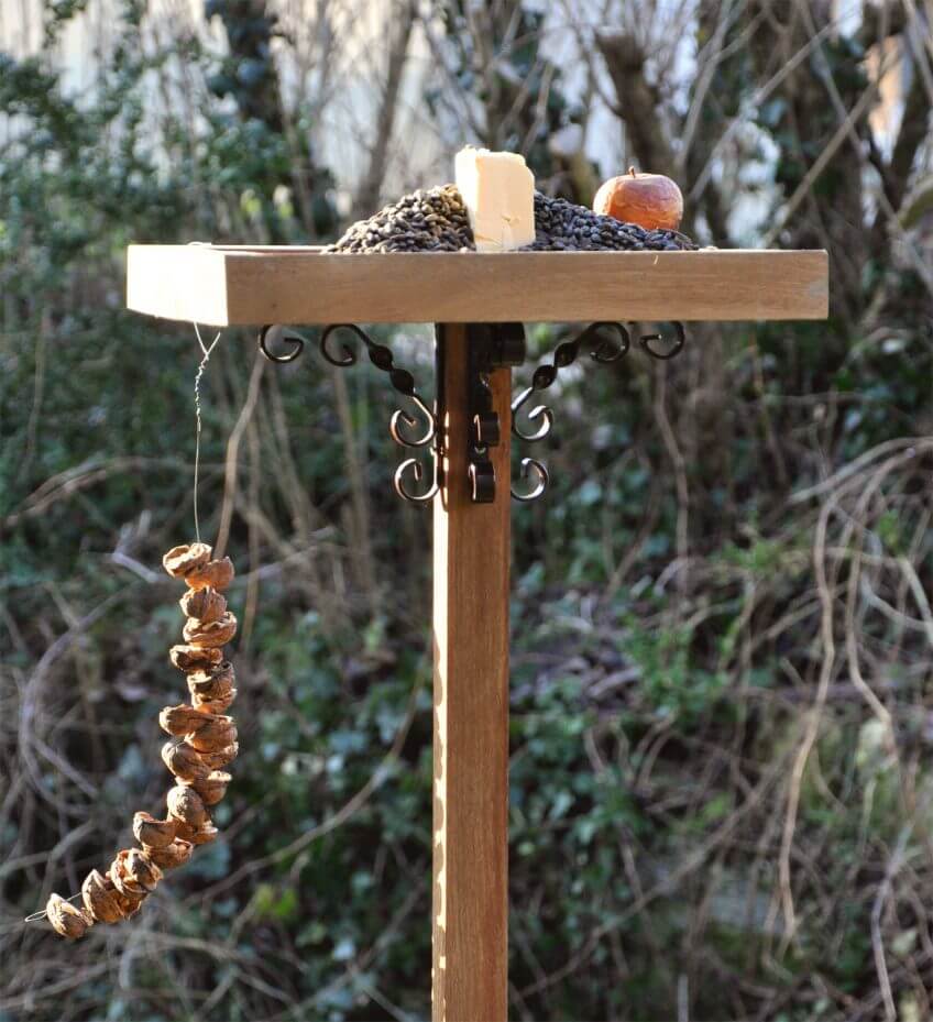 N'oubliez pas de nettoyer régulièrement votre poste de nourrissage. Comment nourrir correctement les oiseaux en hiver ?