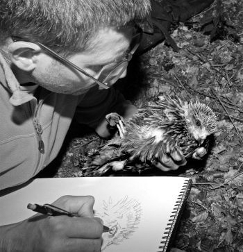 Pierre Baumgart En suivant les milans noirs - La Salamandre Pierre Baumgart dessinateur