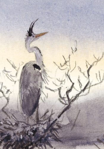 héron malgré lui dessin arbre