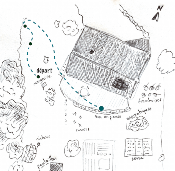 Etape 4 du Voyage au jardin. Une rose pour la reine bourdon