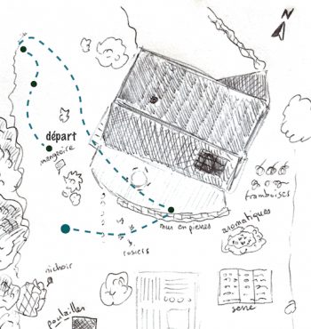 Les moineaux aiment les poules - La Salamandre