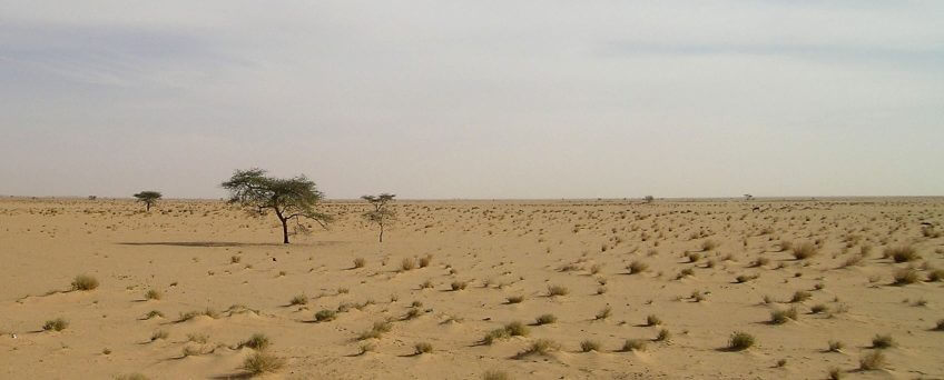 Paysage désertique en Mauritanie milan noir milou opération migration mauritanie désert