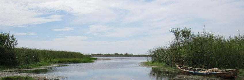 Le fleuve Sénégal sert de frontière entre la Mauritanie et le Sénégal. milou milan noir en vol avec salamandre fleuve sénégal migration